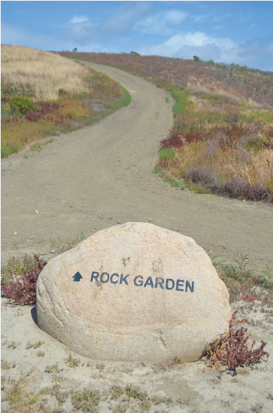 Sc Trails [6 Images] Click Any Image To Expand - Dirt Road (1000x600), Png Download