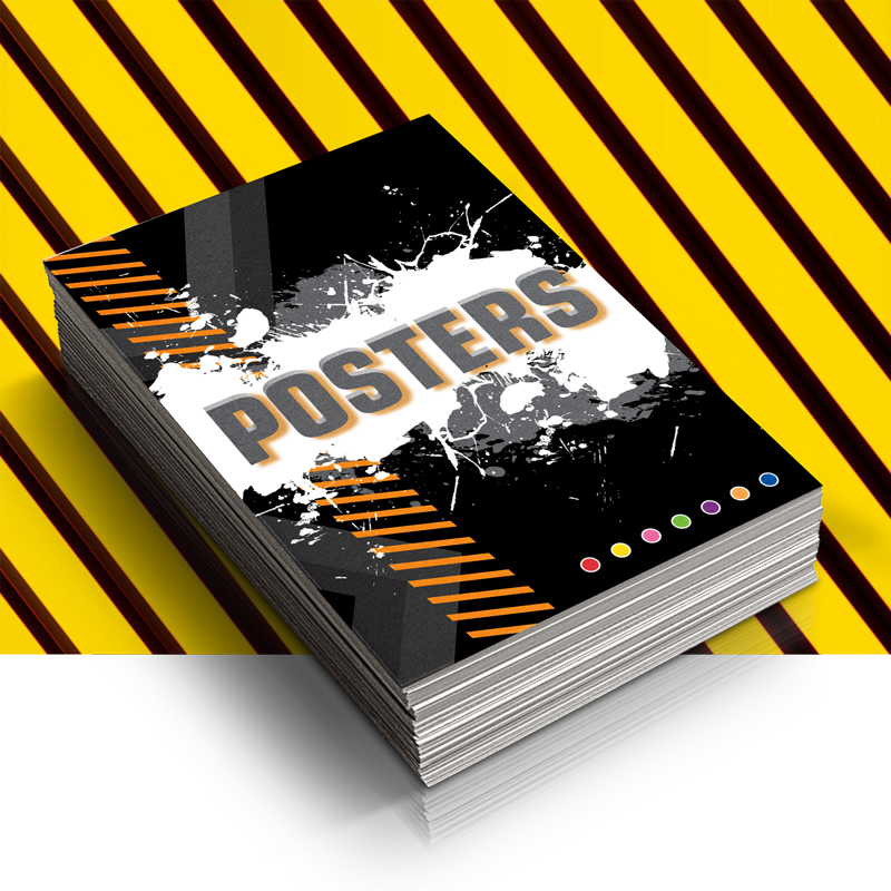 Posters - Hurricane Katrina: You Can Survive A Natural Disaster (800x800), Png Download