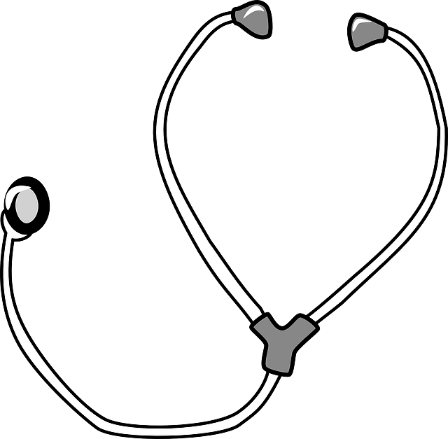 Estetoscópio Em Png - Stethoscope Clipart (640x627), Png Download
