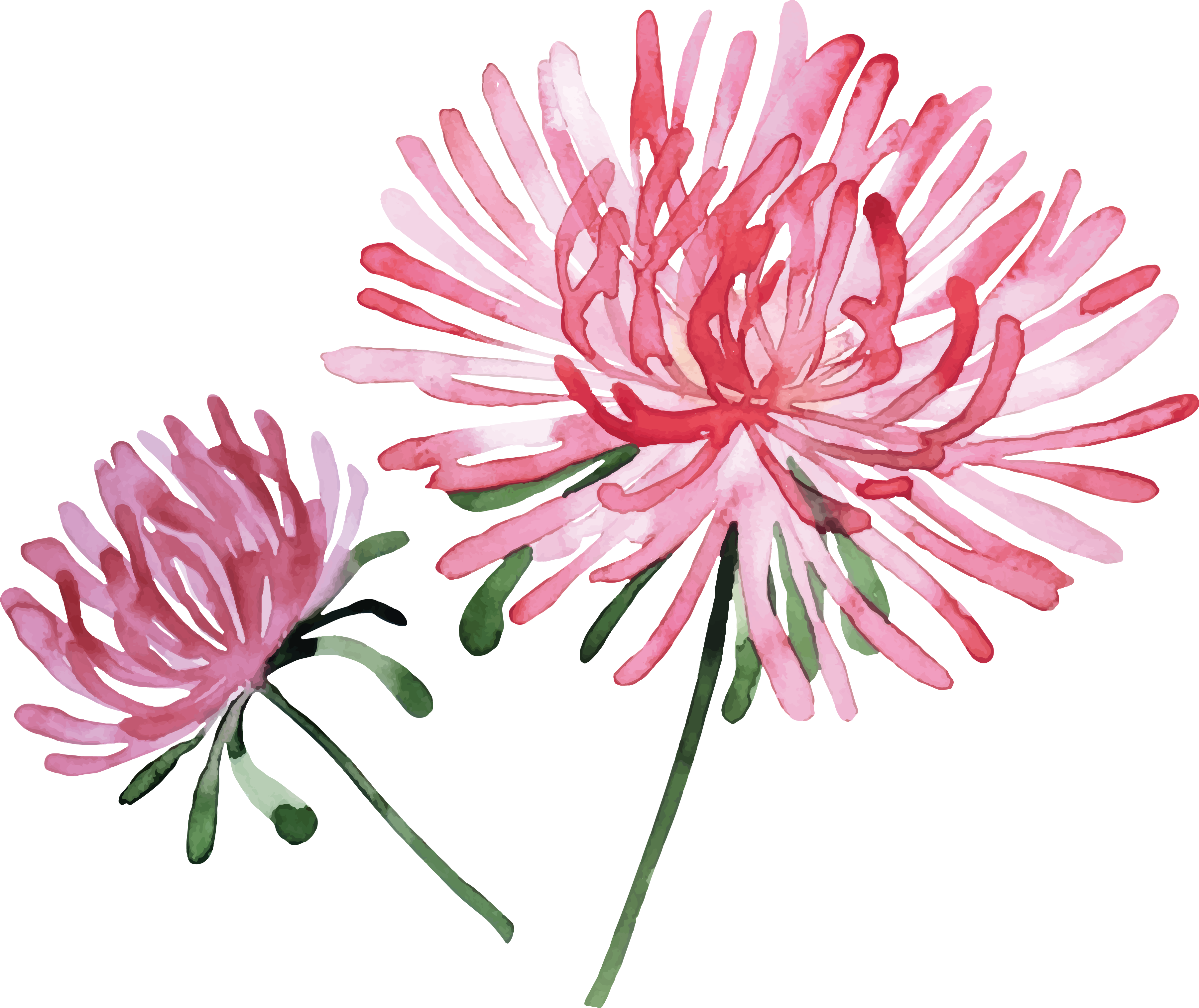 Download Download Svg Free Stock Watercolor Painting Flower Stock Photography Flower Painting Stock Png Png Image With No Background Pngkey Com