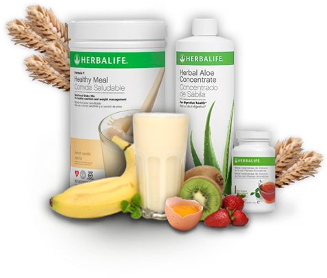 ¿interesado En Herbalife - La Importancia Del Desayuno Herbalife (481x439), Png Download