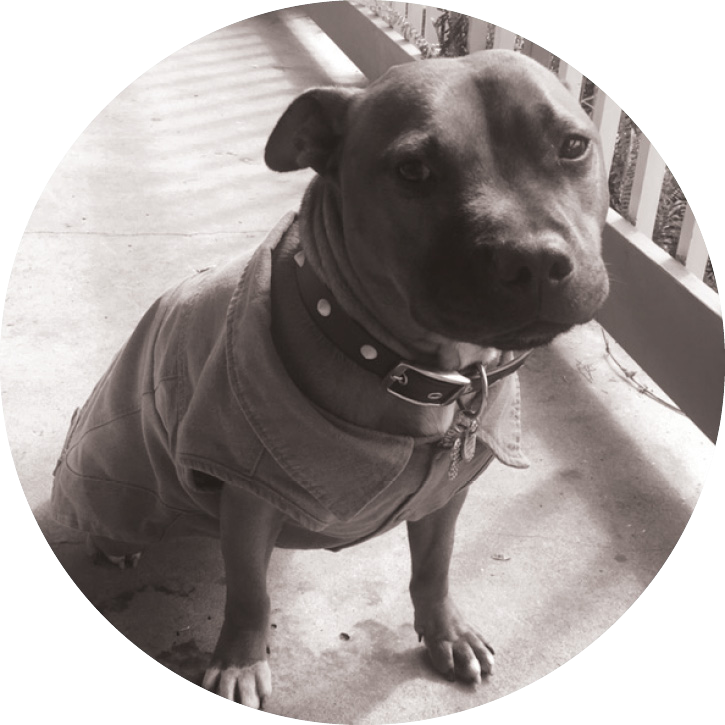 Tyson Circle - Portable Network Graphics (725x725), Png Download