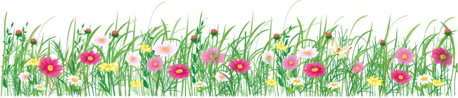 María, Madre, Tú Que Te Olvidabas De Ti Para Atender - Florecillas Png (896x193), Png Download