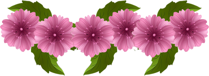 María, Madre, Cuando Jesús Expuso Las Ocho Bienaventuranzas, - Tiras De Flores Animadas (699x257), Png Download