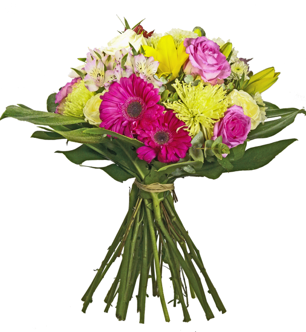 Ramos De Flores Animados (600x650), Png Download