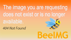 Prism - Honeybee (300x169), Png Download