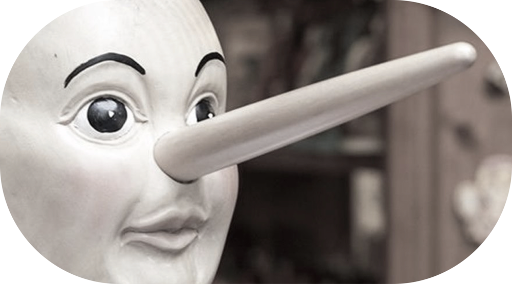 Pinochioartboard 1@300x - Stop Making Stuff Up (1000x556), Png Download