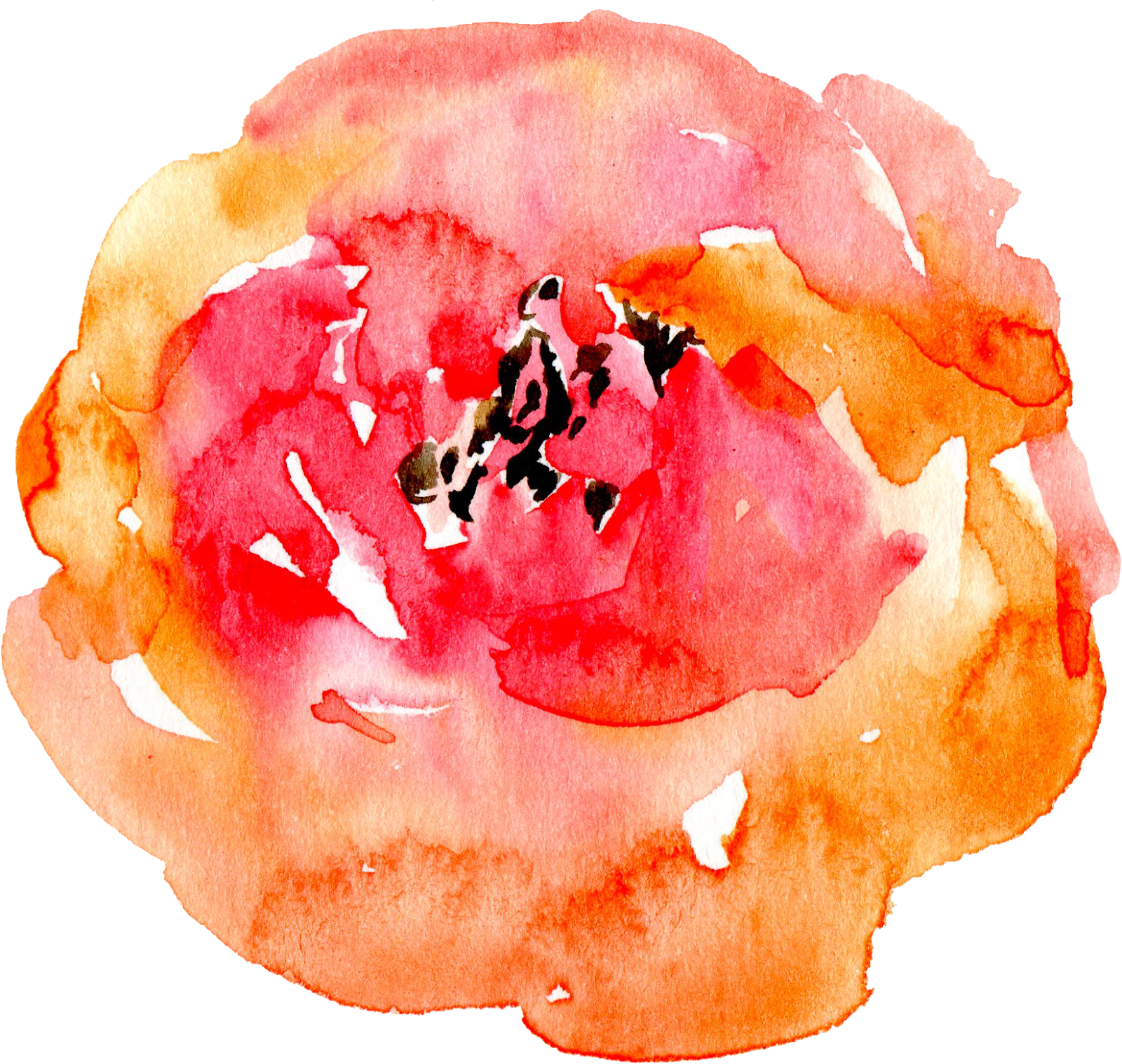 I Always Check About Any Theme Or Particular Colours - Watercolor Paint (1600x1518), Png Download