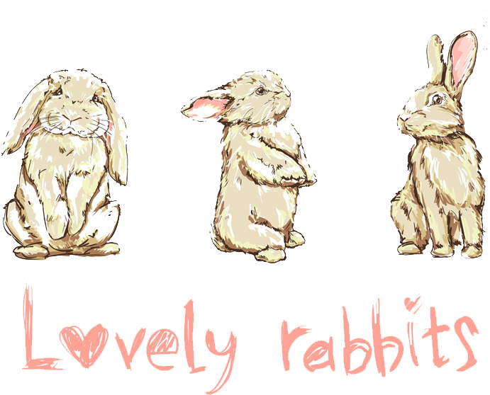 Earrings Drawing Cartoon - Rabbit (724x1024), Png Download