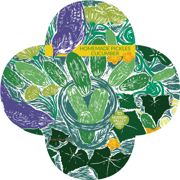 Cucumber (700x699), Png Download