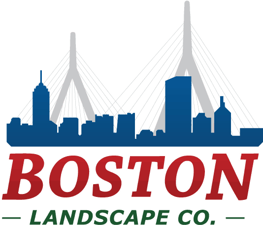 Boston Drawing Landscape Clipart Library Stock - Boston (606x478), Png Download