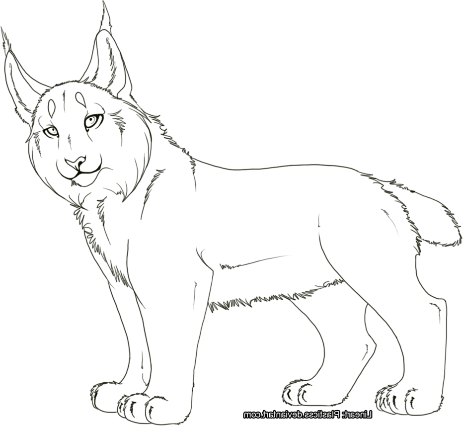 7 Pics Of Canada Lynx Coloring Page - Canada Lynx (932x857), Png Download