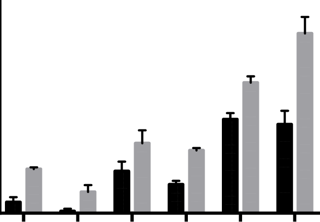 Live Coral At Six Replenished Plots At Lbcnp, In 2014 - Ptgs1 (649x451), Png Download