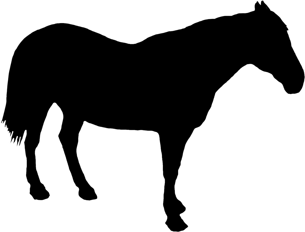 Horse Standing Silhouette - Silhouette Horse Drawing (1063x827), Png Download