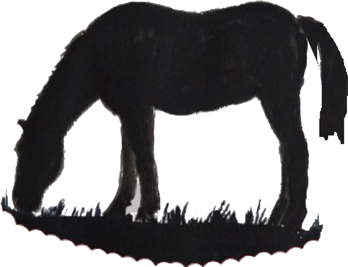 Grazing Horse Silhouette - Horse (800x784), Png Download