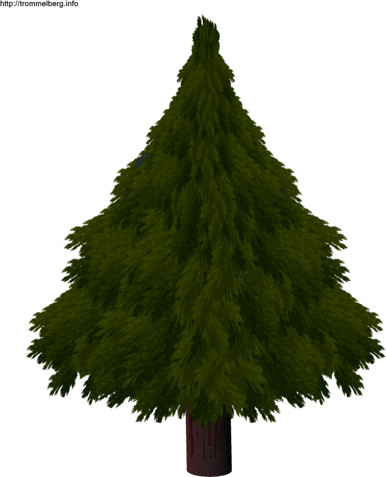 Christmas Tree Drawing Realistic Com Free For Realistic - Christmas Tree (774x1032), Png Download