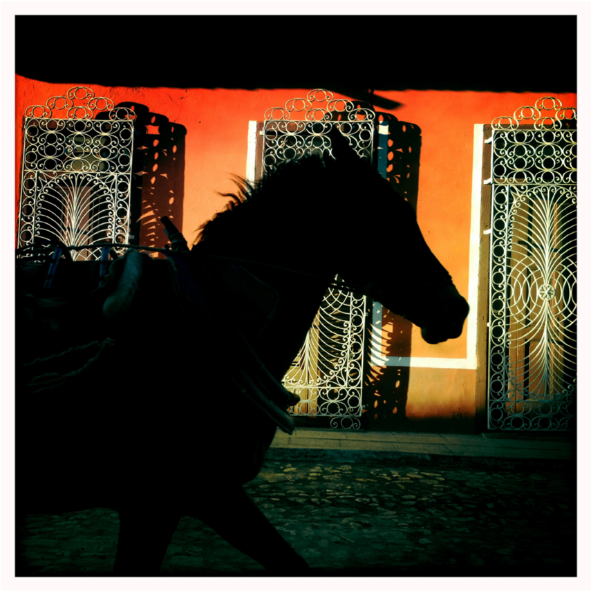 Horse Silhouette, Cuba - Stallion (1024x1024), Png Download