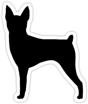 Fox - Toy Fox Terrier (375x360), Png Download