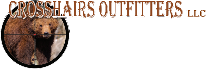 Crosshairs Outfitters, Llc - Frameless Bear Best Arabic Numbers New Style Round (862x300), Png Download