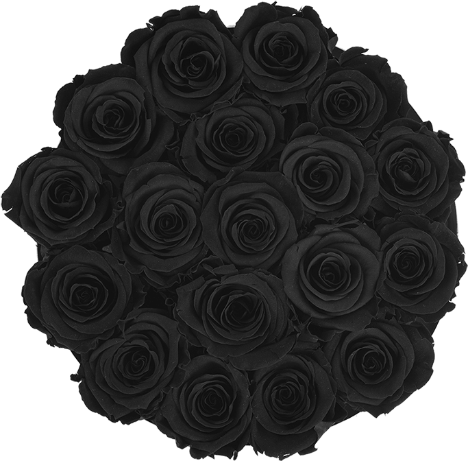 Prev - New York City (800x766), Png Download