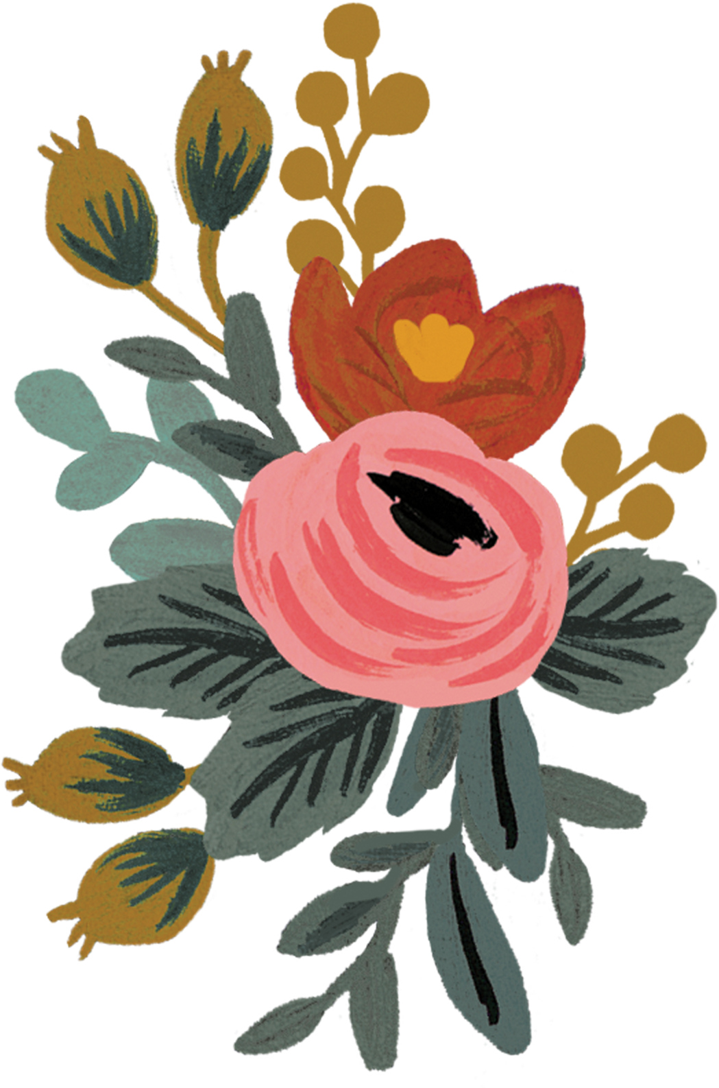 download rosa rosa rosa rifle paper co flowers png image with rifle paper co flower