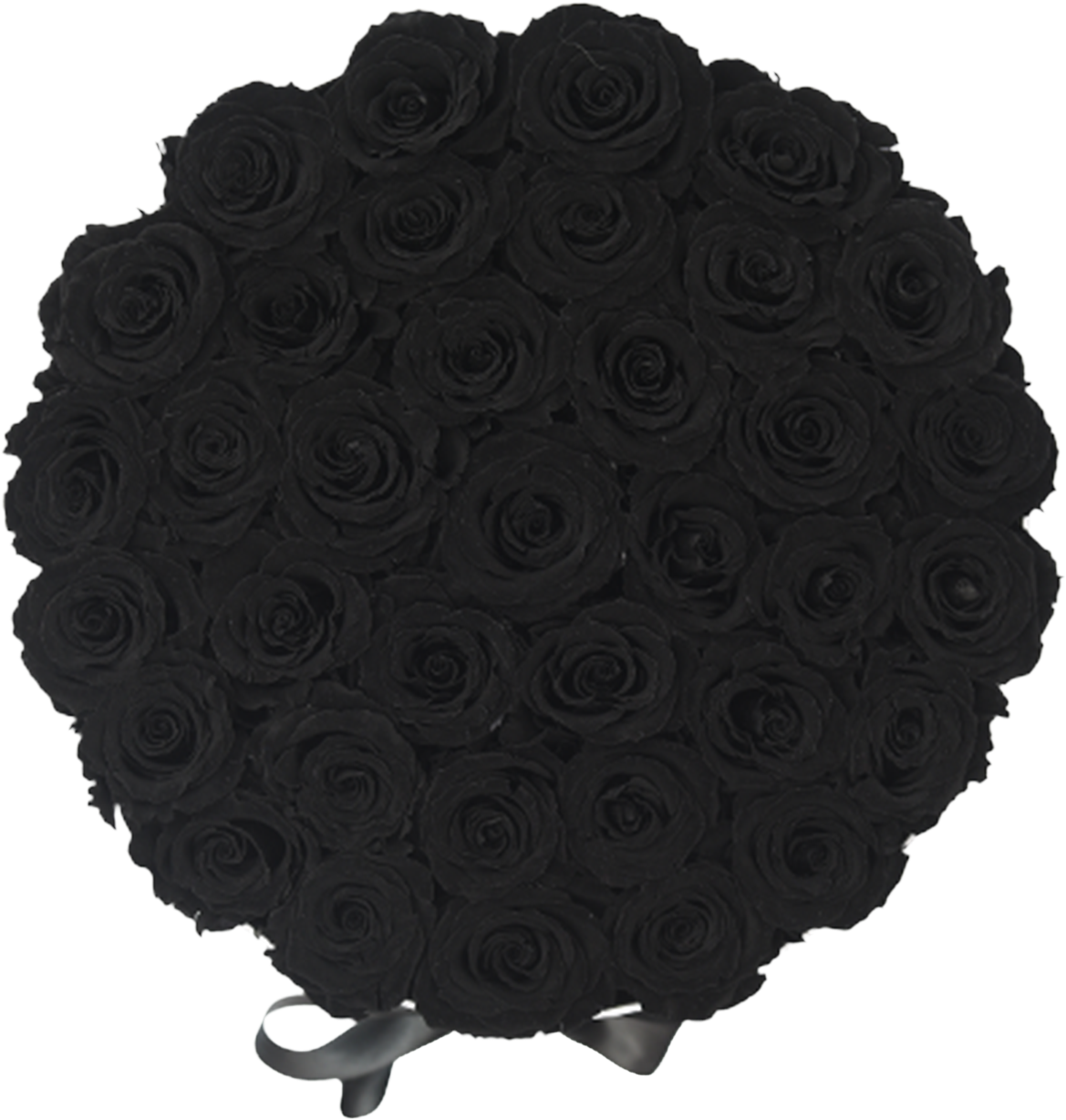 Orb Grand Black Roses - Black Rose (2000x2000), Png Download