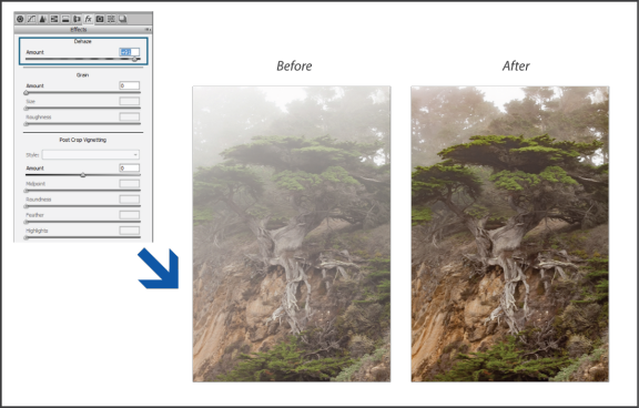 Dehaze - Point Lobos (576x368), Png Download