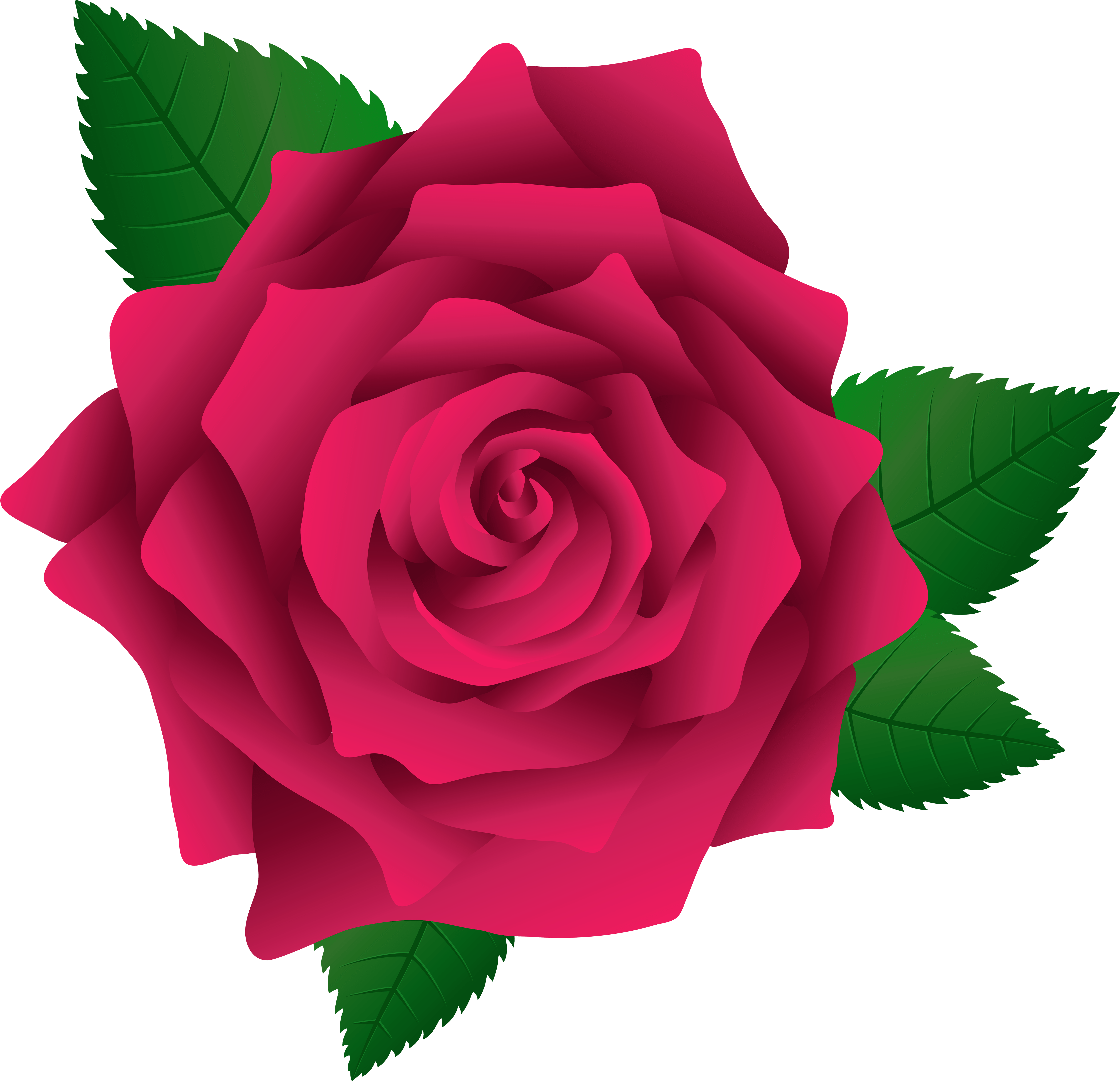 Picture Black And White Library Pink Png Image Clip - Rose Png Clip Art (600x590), Png Download