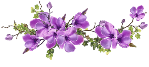 Il Piccolo Mondo Di Donna Picchina - Silk Plants Direct Magnolia Spray - Rose - Pack (500x250), Png Download