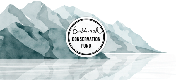 Tumbleweed Tees Conservation Fund - Conservation (600x284), Png Download