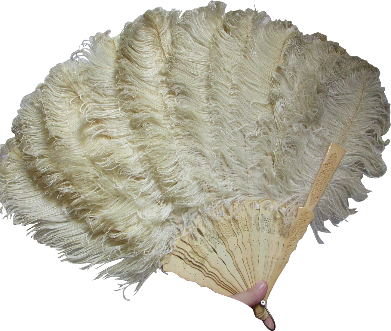 Victorian Edwardian Ladies Ostrich - Feather Fan Transparent (1299x1299), Png Download