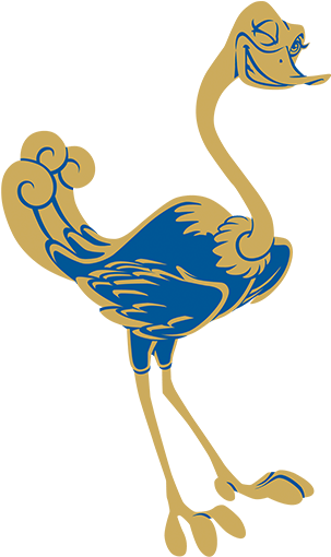 Common Ostrich (1024x576), Png Download