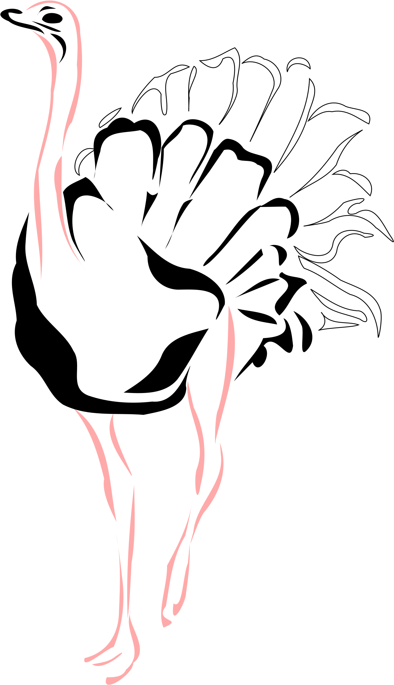 Big Image - Ostrich Stencil (1697x2400), Png Download