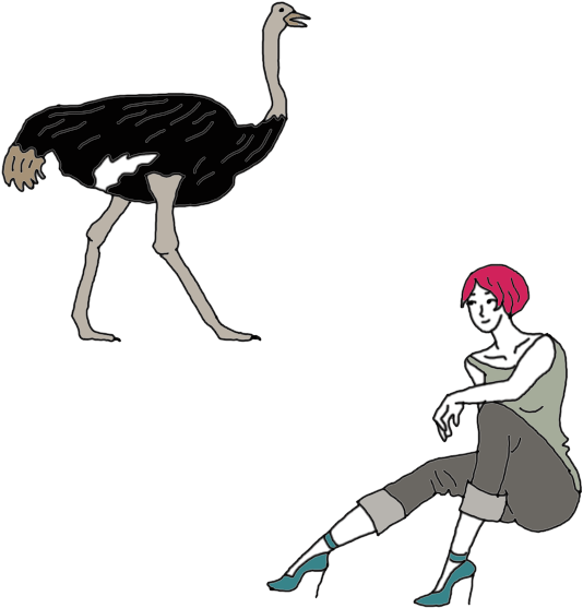 Ostrich - Dream Dictionary (450x450), Png Download