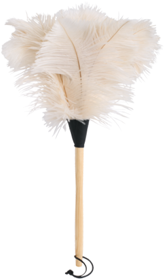 Ostrich Feather Duster - Feather Duster (294x500), Png Download