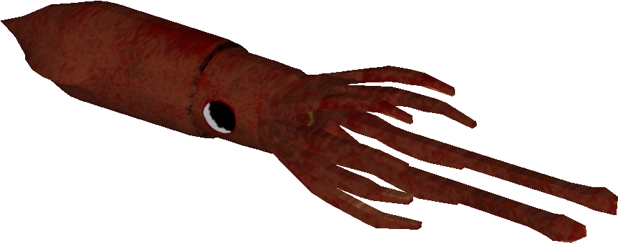 Squid - Giant Squid (910x910), Png Download