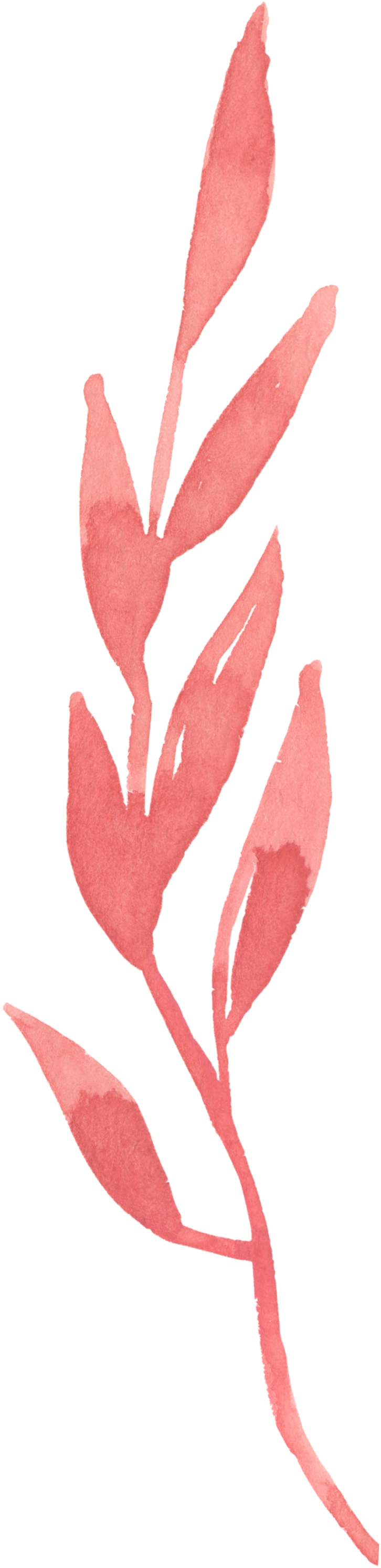 This Graphics Is Ink Leaf Transparent Decorative About - Color (772x3500), Png Download
