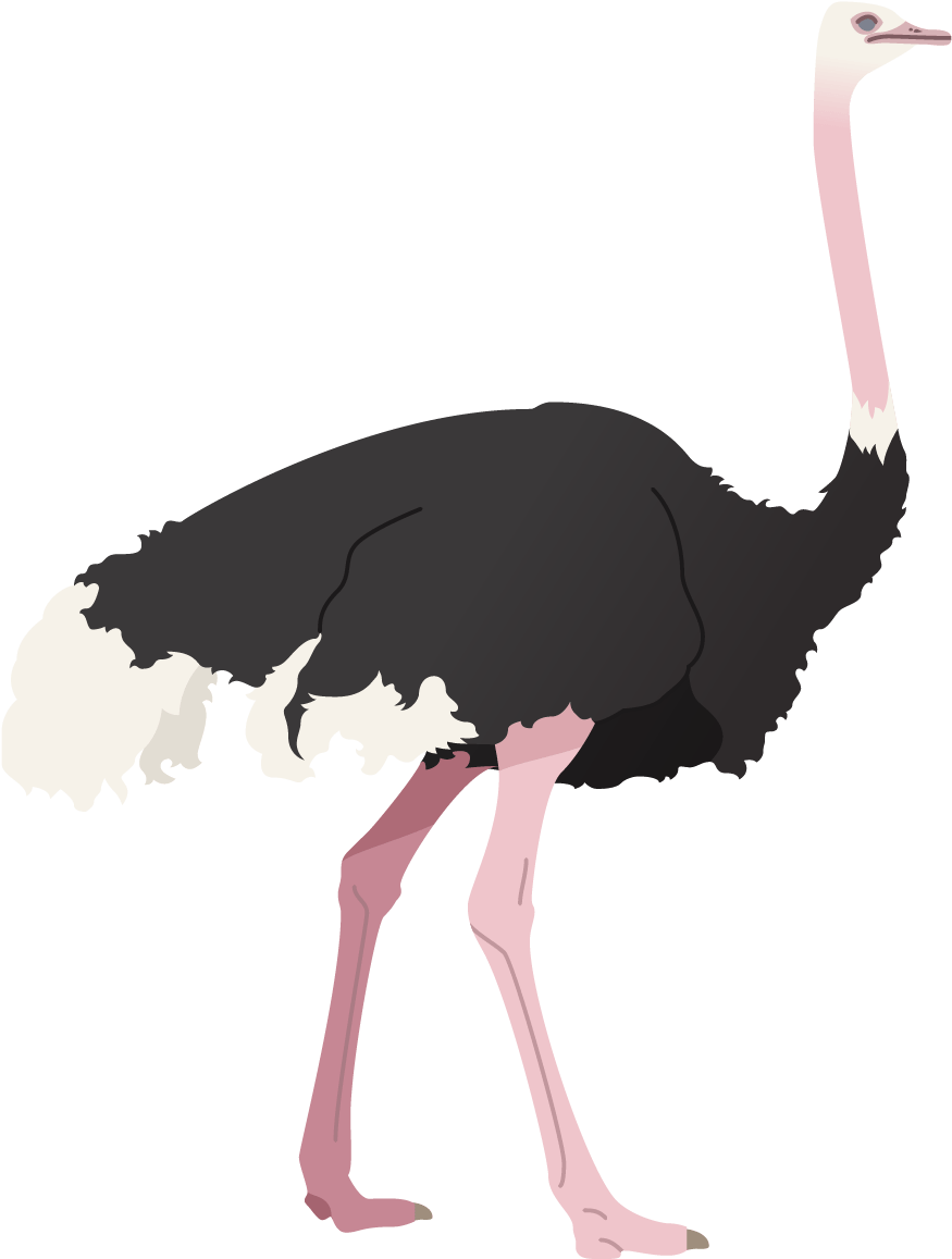 Gomma: Usciamo! Ora! Cd (1641x2201), Png Download