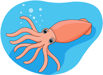 Squid (450x450), Png Download