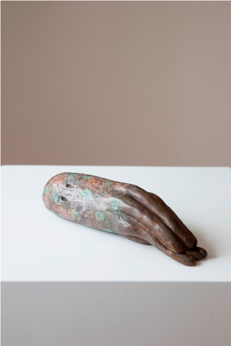 Sick Squid - Laura Ford Of Sullivan (700x700), Png Download