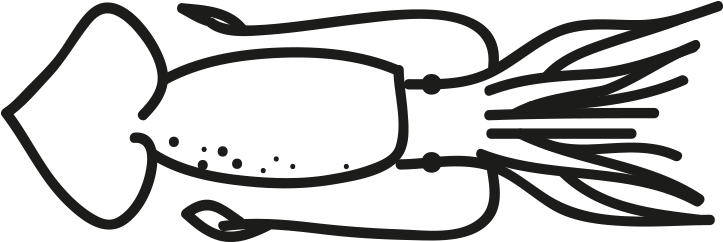 Argentine Squid - Illex Illecebrosus (796x500), Png Download