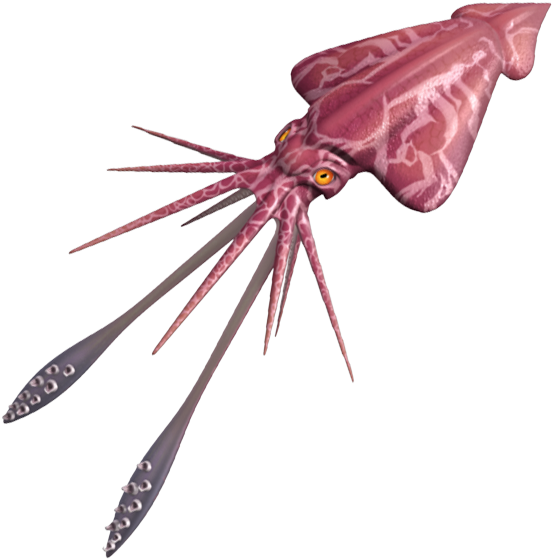 Colossal Squid - Moths And Butterflies (642x560), Png Download