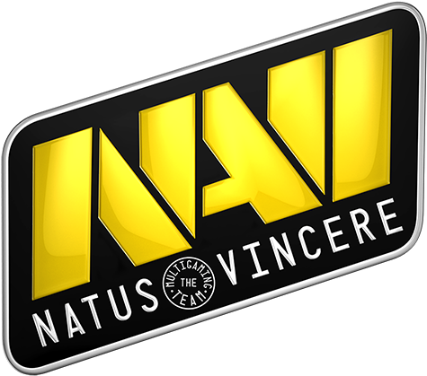 Legendary Ukrainian E-sports Team Na'vi Has Announced - Natus Vincere (500x450), Png Download
