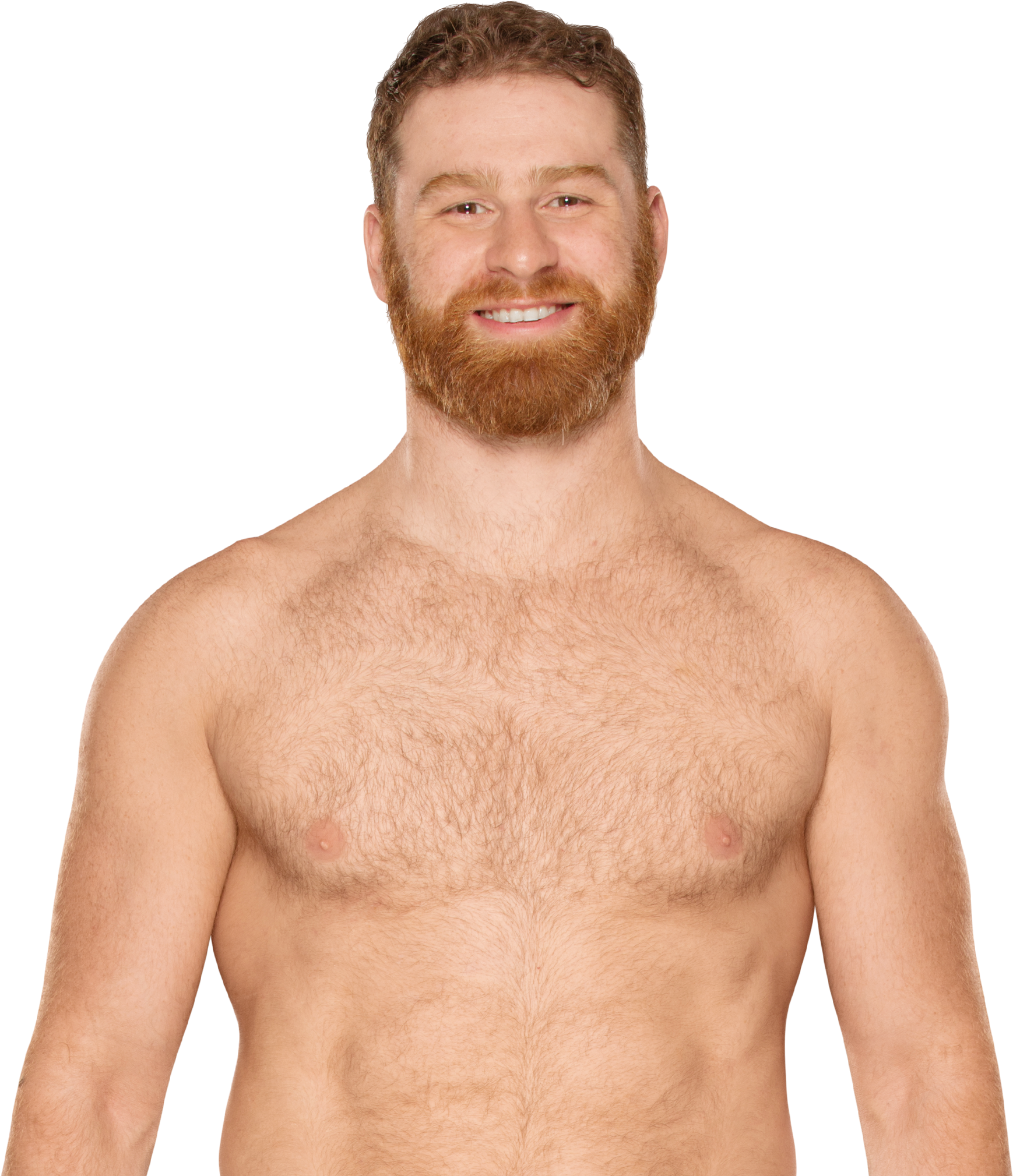 Sami Zayn (2940x2080), Png Download