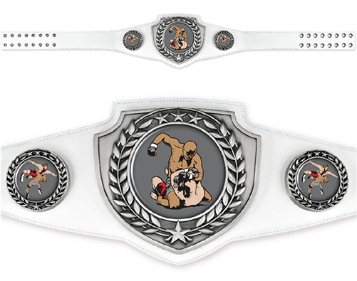 Custom Championship Belt (500x500), Png Download