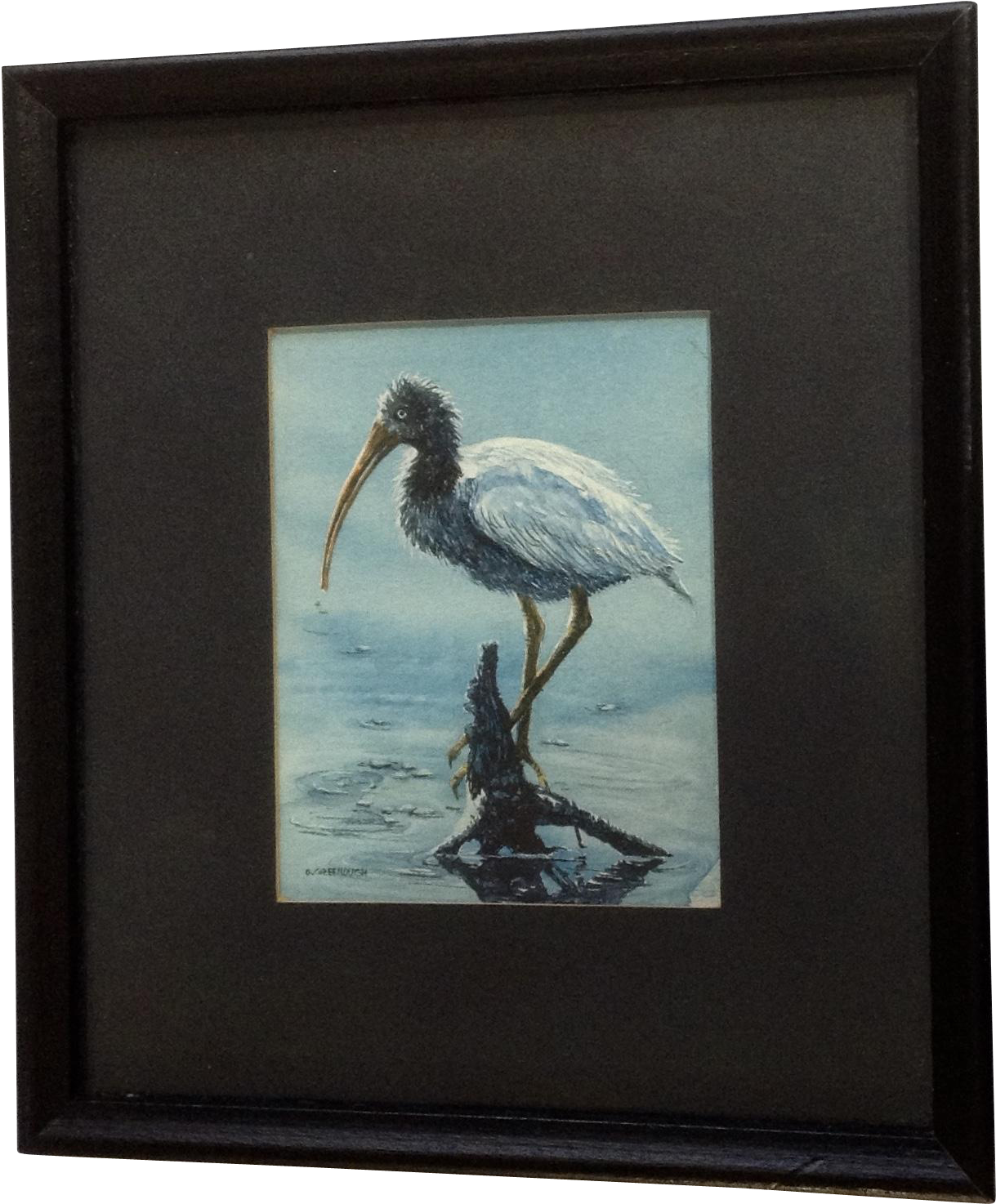 Donna Greenough, Baby American Ibis Water Bird Fishing - Watercolor Painting (1473x1473), Png Download