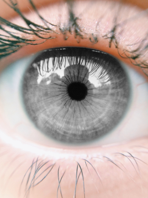 Iris - Grey Eyes (500x667), Png Download