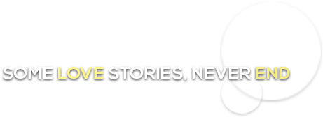 New Png Text Part-7 - Some Love Stories Never End Png (800x600), Png Download