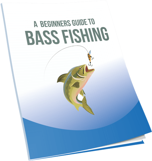 Get This Awesome Free Guide To Bass Fishing Today - Fishing (558x618), Png Download
