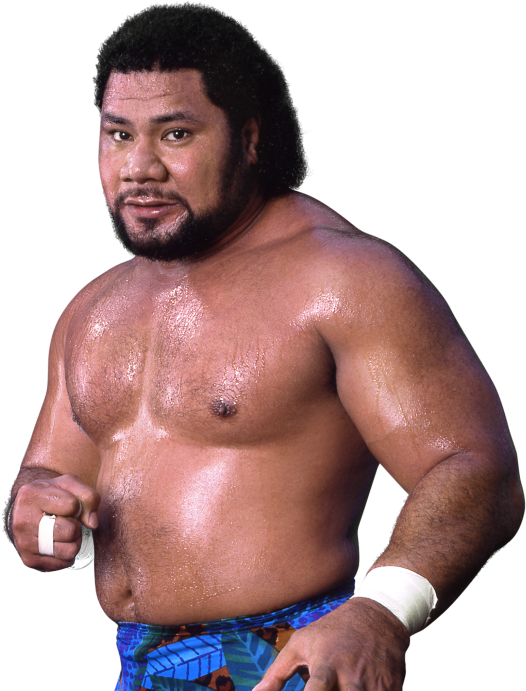 Latest Cb Hulk Hogan Andre The Giant - Haku Wwf (1000x707), Png Download